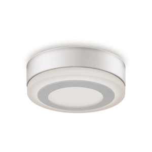 Настенно-потолочный светильник  BL216