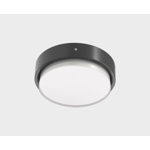 Потолочный светильник уличный  IT6026